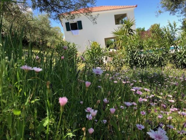 Kyparissia De Wandelboom Villa Vrises  Eksteriør bilde