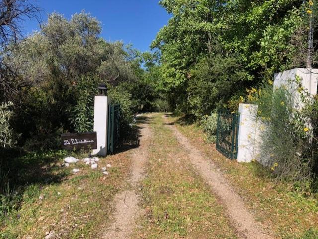 Kyparissia De Wandelboom Villa Vrises  Eksteriør bilde
