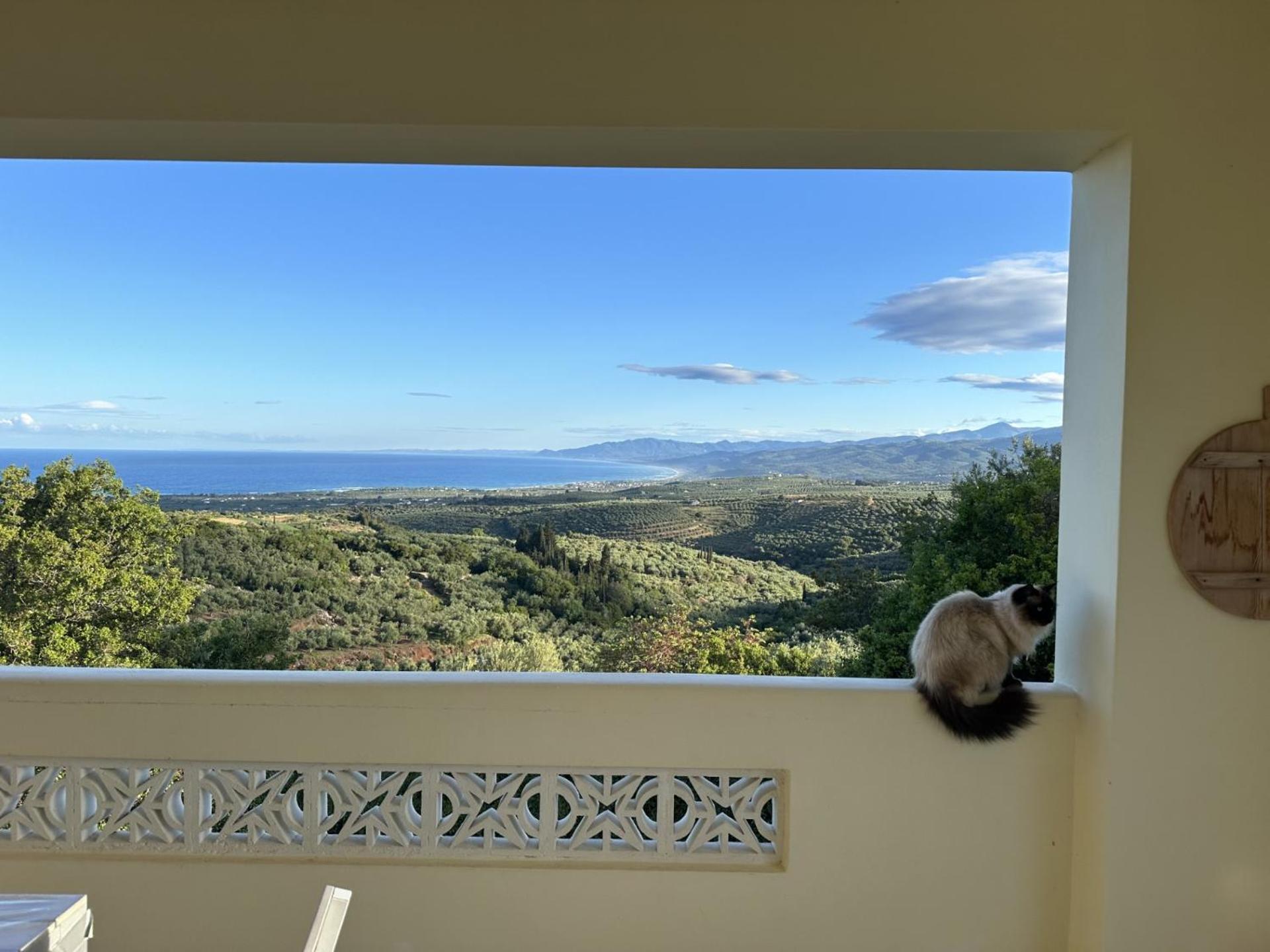 Kyparissia De Wandelboom Villa Vrises  Eksteriør bilde