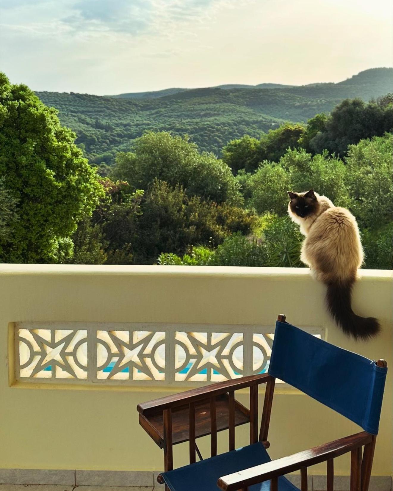 Kyparissia De Wandelboom Villa Vrises  Eksteriør bilde